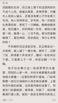 无袖连衣裙可以进菲律宾移民局吗，在菲律宾旅游穿着有什么要求吗